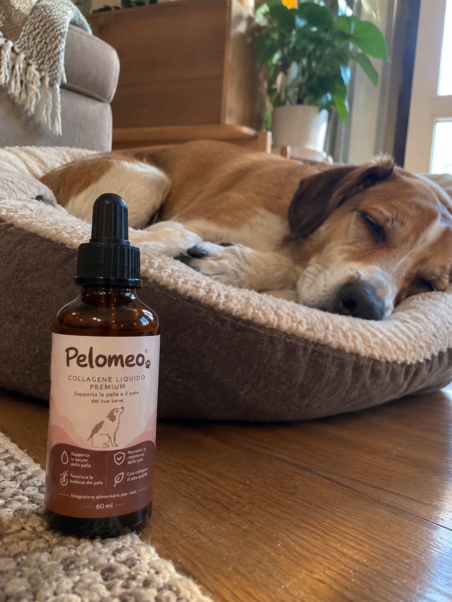 Dog sleeping peacefully next to a bottle of Pelomeo